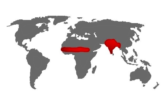 Mapa výskytu - Alexander malý (Psittacula krameri)